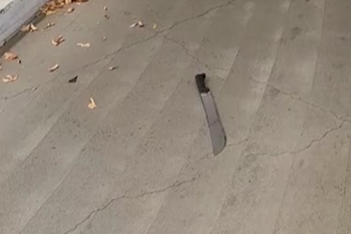 A former Married At First Sight contestant has performed a citizen's arrest to restrain a teen allegedly armed with a machete running down a Melbourne street.