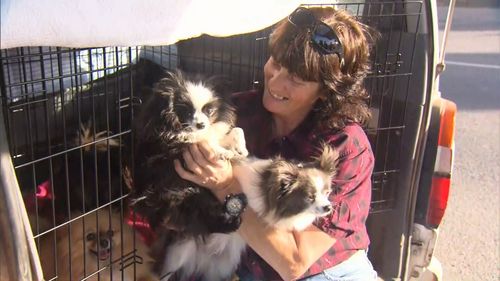 Ms Ryan has denied neglecting the dogs, describing them as "her life, her family". Picture: 9NEWS