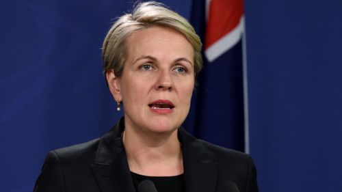 ‘I am a feminist’: Plibersek takes a stand