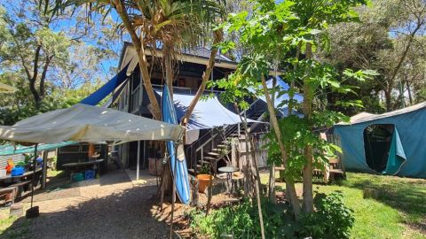 Hoarder home sold Macleay Island Queensland passed in Domain 