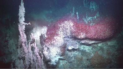 Underwater robot finds wonderland of iridescent worms and hydrothermal vents