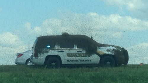 The squad car was covered in  bees. (Facebook)