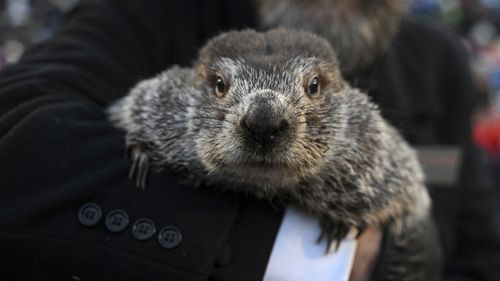 Groundhog Club handler A.J. Dereume holds Punxsutawney Phil, the weather prognosticating groundhog, during the 137th celebration of Groundhog Day on Gobbler's Knob in Punxsutawney, USA. Phil's handlers said that the groundhog has forecast six more weeks of winter. 