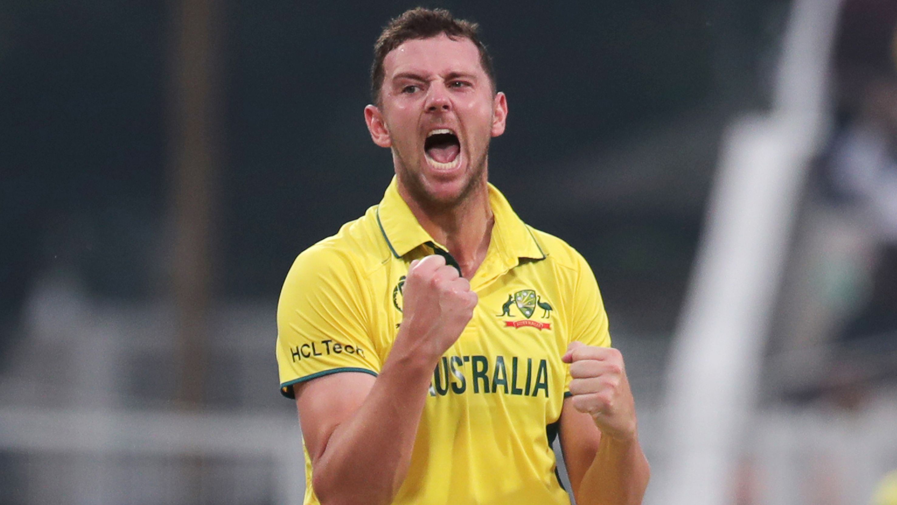 KOLKATA, INDIA - NOVEMBER 16: Australia&#x27;s Josh Hazlewood celebrates the wicket of Quinton de Kock of South Africa  during the ICC Men&#x27;s Cricket World Cup 2023 semi final match between South Africa and Australia at Eden Gardens on November 16, 2023 in Kolkata, India. (Photo by Pankaj Nangia/Gallo Images)