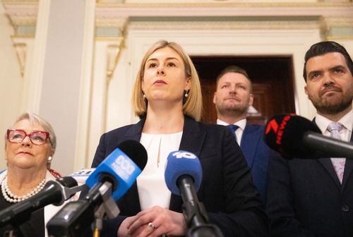 A Era, Notícias. Liberal Jess Wilson na casa do Parlamento. Pic Simon Schluter, 18 de novembro de 2025