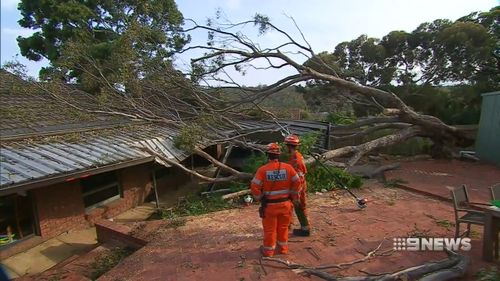 The SES responded to 330 calls for help.