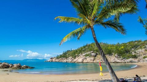 Tropical island water paradise Queensland beach palm tree