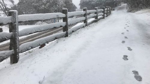 Nearly five centimetres of snow has dusted Mount Buller. (Mount Buller Facebook)