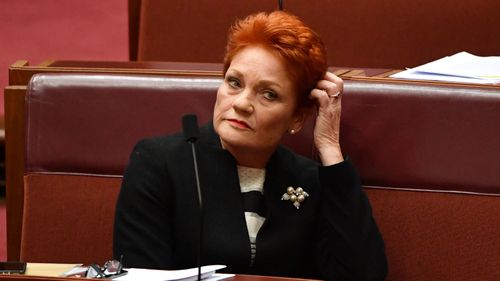 Pauline Hanson appeared to suggest the Port Arthur massacre was a government conspiracy.