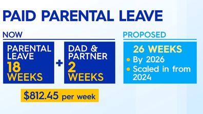 Paid parental leave extension to 26 weeks.