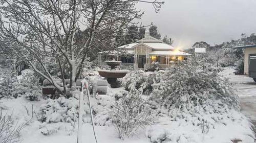 Spot the home buried by snow on a property in the Queensland town of Stanthorpe. (AAP)