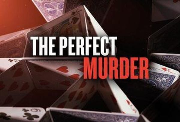 The Perfect Murder