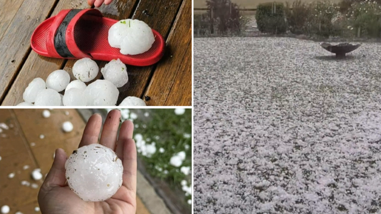 Wild Weather Wreaks Havoc Across New South Wales