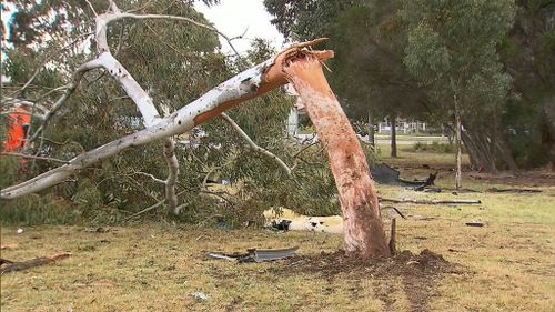 Emergency services say the driver is lucky to survive the force of the crash. (9NEWS)