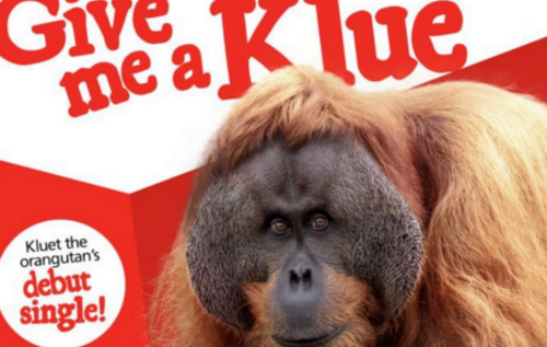 Kluet created 'Give Me A Klue' with his keeper. (Adelaide Zoo) 