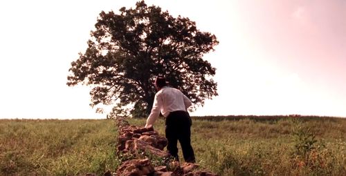 Red, played by Morgan Freeman, finds the stone wall that leads towards the big oak tree that his friend and former fellow inmate Andy has told him about.