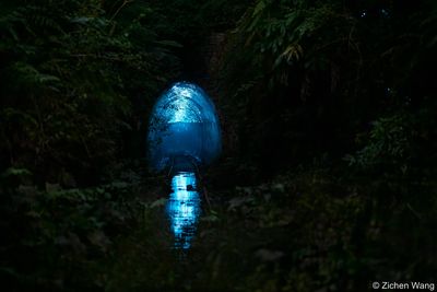 Helensburgh Glow Worm Tunnel, New South Wales