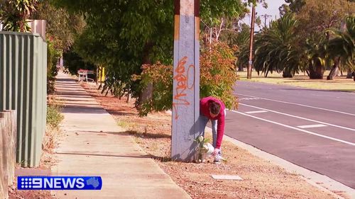 Witnesses say an elderly woman who was hit and killed by a ute in Adelaide had been sitting in the path of traffic in the moments before the impact.Police are investigating whether the driver simply didn't see the victim, who only minutes earlier had been drinking with friends at a nearby home.