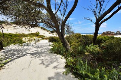 <strong>Squeaky Beach, Wilsons Promontory National
Park, Victoria</strong>
