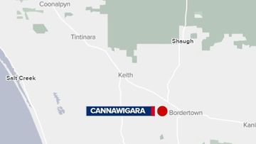 A bushfire burning in South Australia&#x27;s Limestone Coast region has been downgraded. The Cannawigara fire, which was burning at a watch and act level, has been brought under control.