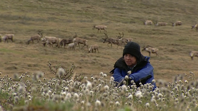 Liz Hayes during caribou migration on the tundra in Northern Alaska.