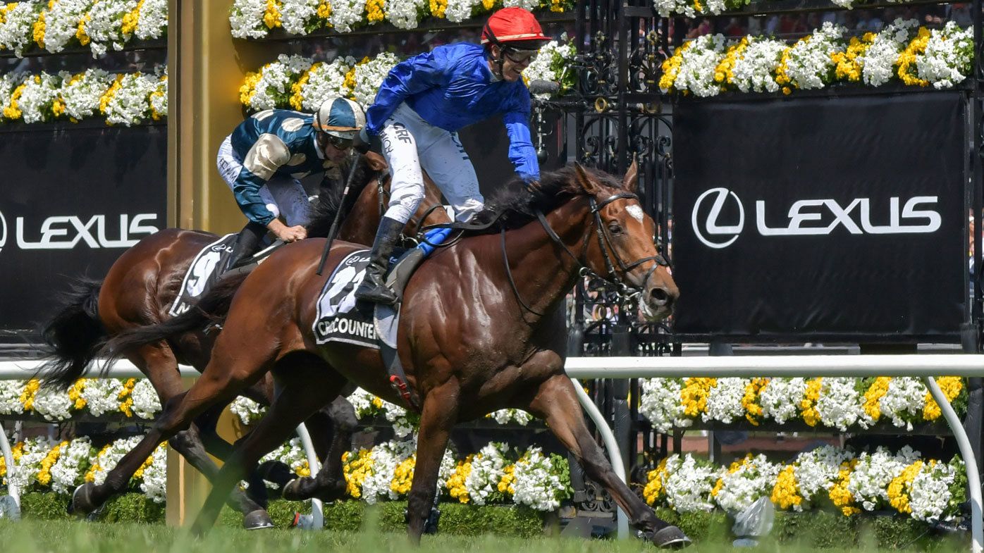 Melbourne Cup should be moved, ending 150-year tradition, Racing NSW boss says