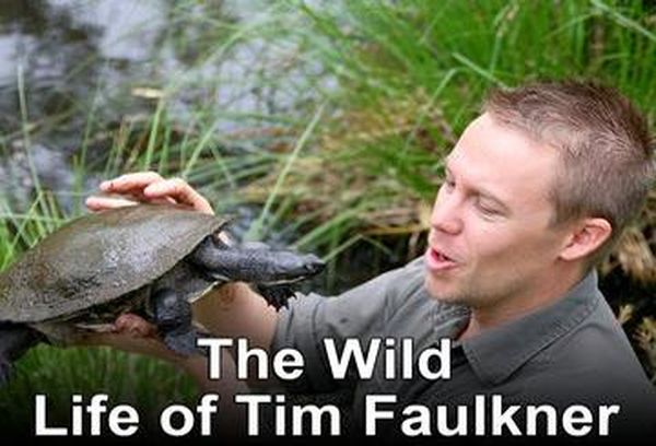 The Wild Life of Tim Faulkner