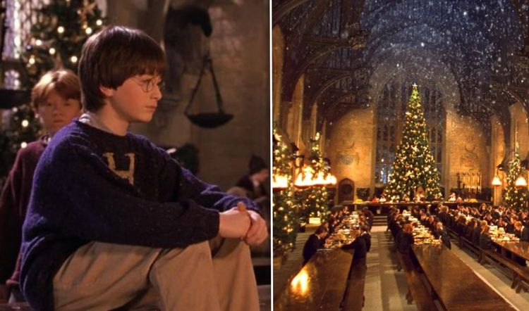 Is Harry Potter a Christmas movie? An investigation - 9Honey