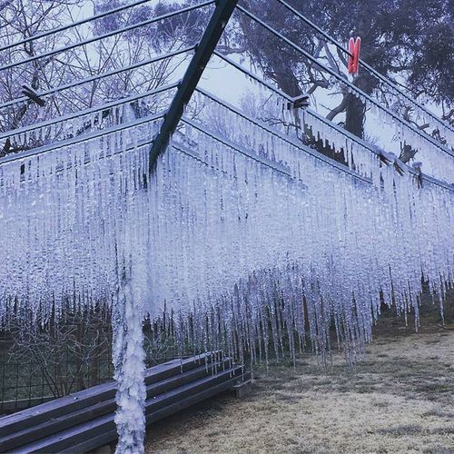 Ice palace or frozen clothing line? A backyard in Cooma, in southern NSW. (Reddit/ Noideawhatjusthappen)