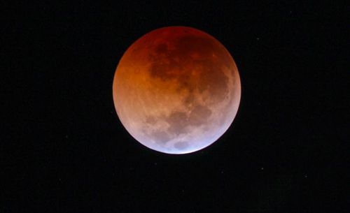 The blood moon from Terry Hills, New South Wales. Picture: Michael Gray