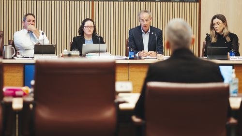 Senate Select Committee on Supermarket Prices. Senator Nick McKim questioning CEO of Woolworths Group CEO Mr Brad Banducci during the senate committee hearing, Tuesday 16th of April 2024.