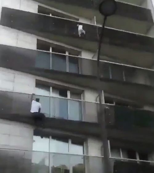 A brave man has been applauded for his heroic 'Spiderman'-like efforts in rescuing a child dangling from a building. Picture: Supplied.