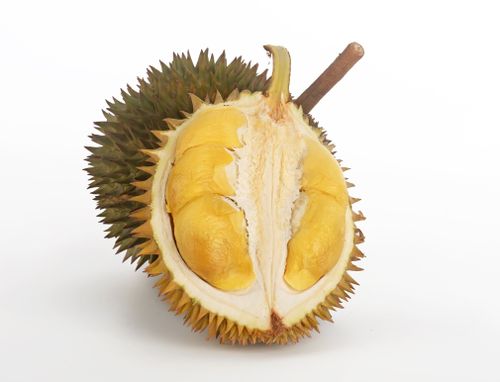 Durian is a tropical fruit known for its strong smell. (Getty)