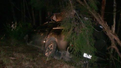 The 45-year-old crashed his vehicle following the ordeal. (9NEWS)