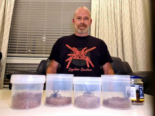 Scott Johnson searches for highly-venomous funnel web spiders to help produce an anti-venom that saves lives. 