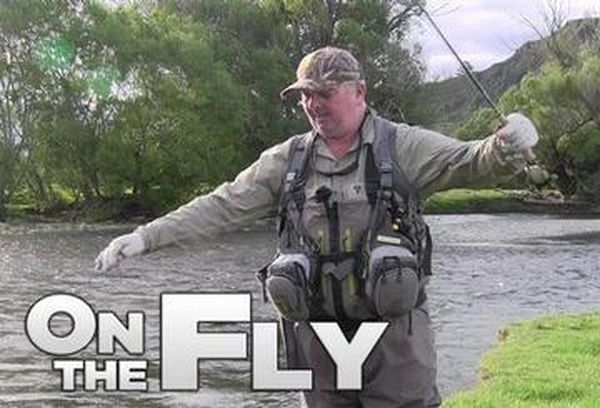 On the Fly