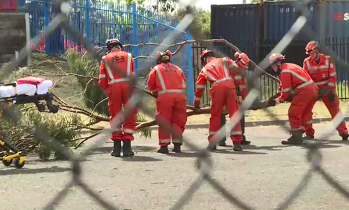 SES workers remove the branch that fell on the school playground. (9NEWS)