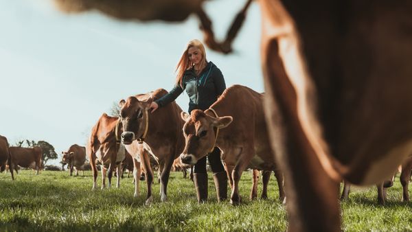 Farmer