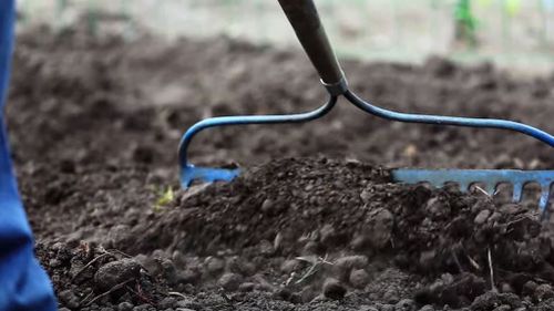 The whole process started with planting vegetables. (YouTube)