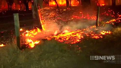 WA bushfires: Federal support for fire victims