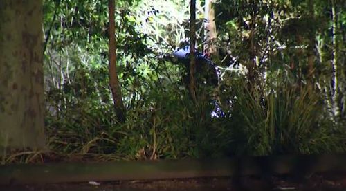 Police have been searching through the bushland where the girl was attacked over five hours. Picture: 9NEWS