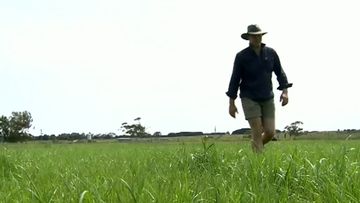 $180 million drought package under review
