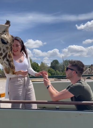 Woman gets slapped by a giraffe.