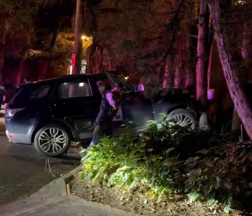 I video pubblicati sui social media dai residenti hanno mostrato che la Range Rover si è schiantata contro gli alberi alla fine di Edgecumbe Avenue, Coogee.