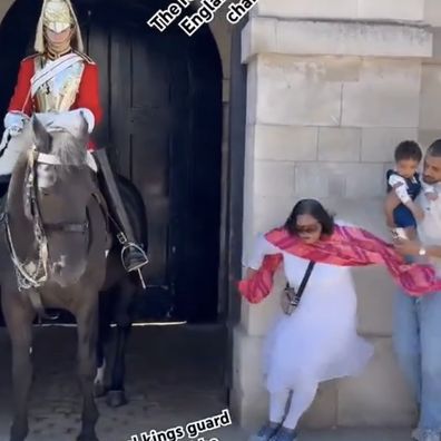 Woman gets bitten by king's guard horse