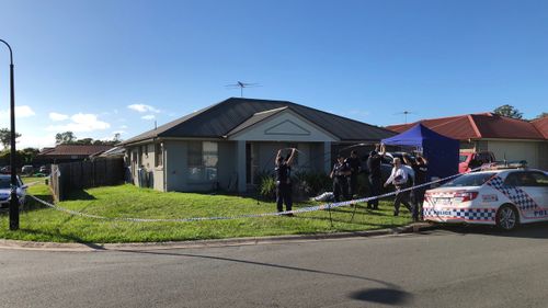 Police uncovered the weaons cache at the home after the man was taken to hospital with a gunshot wound to his left hand. (9NEWS)