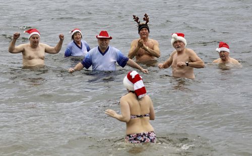 During their traditional Christmas swim, the members of the winter swimming club "Pirrlliepausen" go into Lake Senftenberg, which is four degrees cold.  