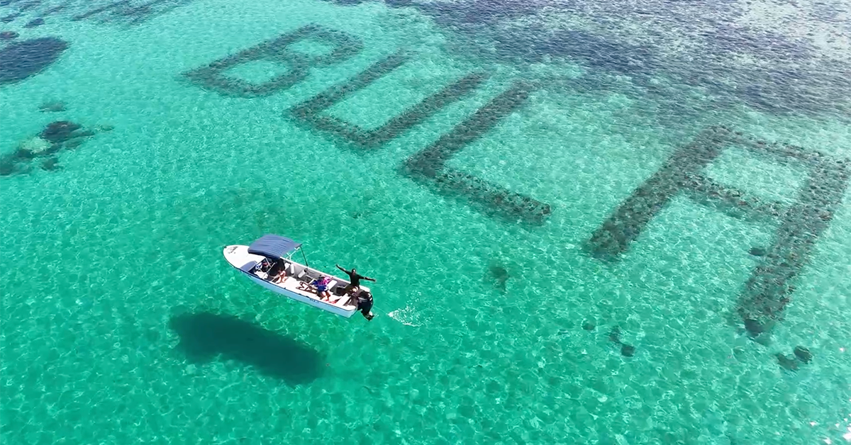 Unusual sight to spot in the Fiji ocean