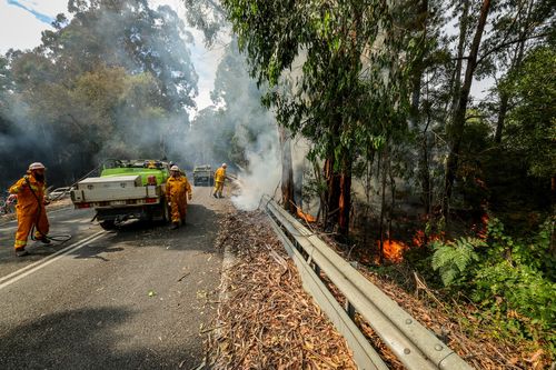 Carlisle River fire in the Otway National Park. Firefighters putting out spot fires on the Colac-Lavers Hill road.