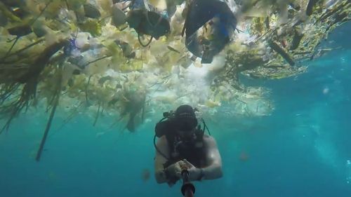 Manta Point, off Nusa Penida, is one of the world's most famous diving and snorkelling sites (source Rich Horner)